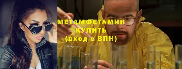 прущие грибы Инсар