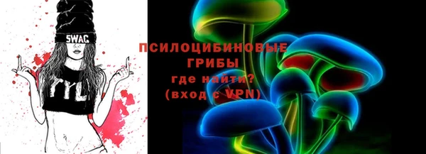 прущие грибы Инсар