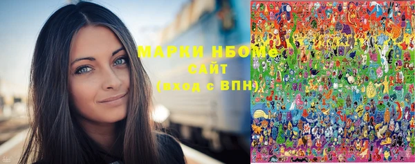 прущие грибы Инсар