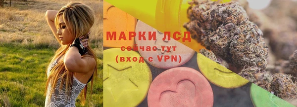 прущие грибы Инсар