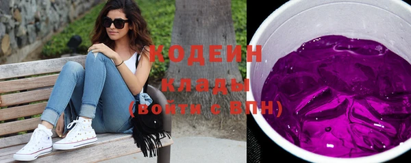 прущие грибы Инсар