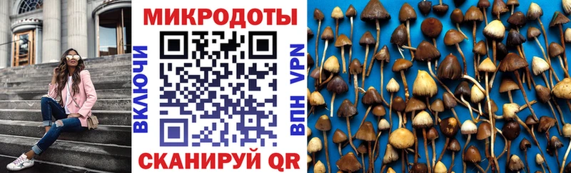 Купить где  Дагестанские Огни  Галлюциногенные грибы GOLDEN TEACHER 